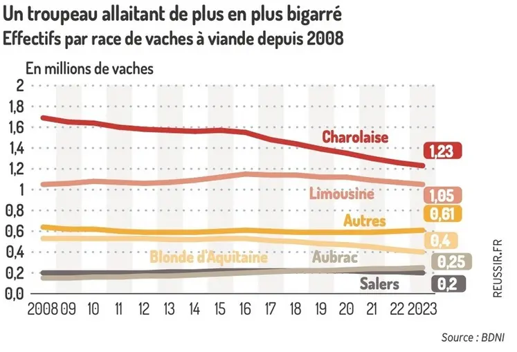 <em class="placeholder">Graphique des effectifs par race de vaches à viande depuis 2008</em>