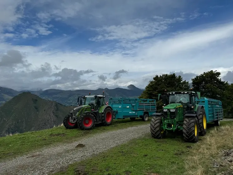 <em class="placeholder">Bétaillères pour le transport des bovins à l&#039;estive, dans les Hautes-Pyrénées</em>