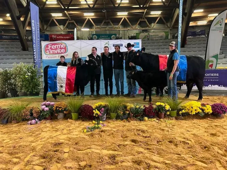 <em class="placeholder">Taureau et vache suitée de race Angus et leurs éleveurs, mis à l&#039;honneur en présentation à La Ferme s&#039;invite, à Poitiers</em>