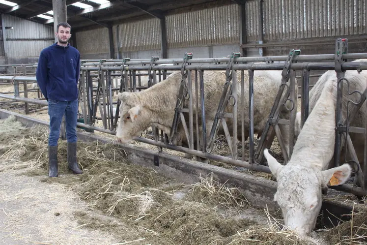 <em class="placeholder">éleveur stabulation vaches charolaises</em>
