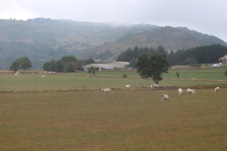 <em class="placeholder">ardèche zone montagne charolaise</em>