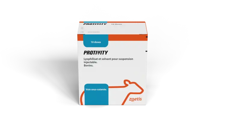 vaccin maladies respiratoires bovins Zoetis Protivity