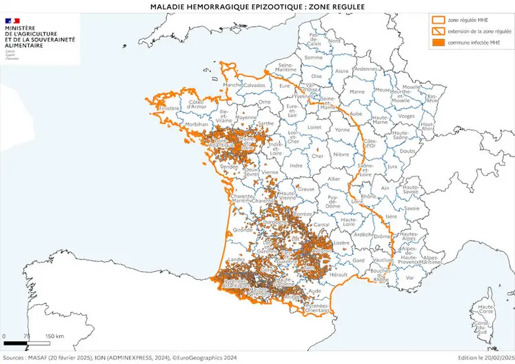 Cartographie de la zone réglementée au titre de la MHE à partir des foyers du sud-ouest (à la date du 20 février 2025)