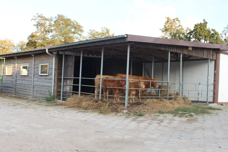 <em class="placeholder">elevage bovins viande limousine pologne</em>