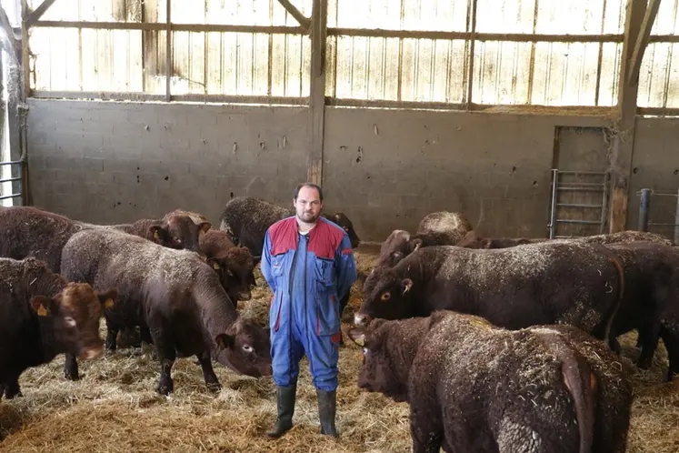 <em class="placeholder">Système naisseur engraisseur en race salers avec croisement charolais dans le Cantal</em>