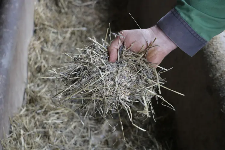 <em class="placeholder">ration type d&#039;engraissement distribuée à la mélangeuse</em>
