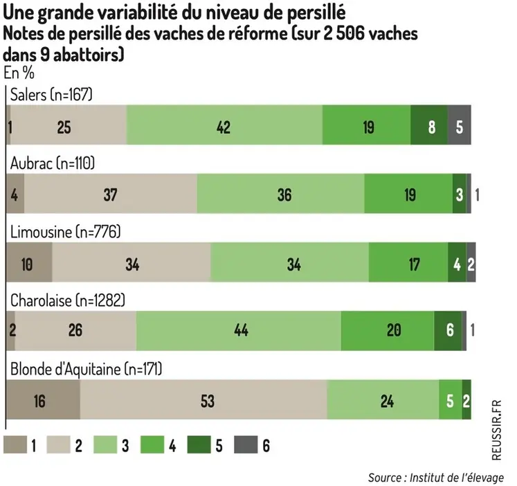 <em class="placeholder">Graphique - Une grande variabilité du niveau de persilléNotes de persillé des vaches de réforme (sur 2 506 vaches dans 9 abattoirs)</em>