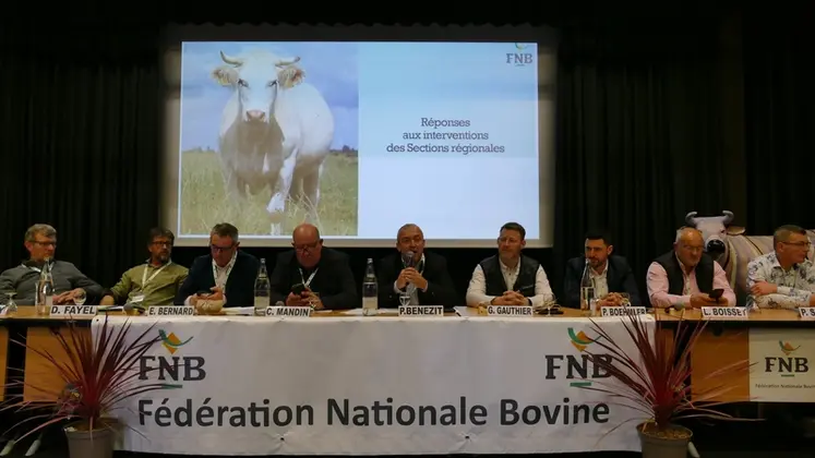 <em class="placeholder">Pour Patrick Bénézit, président de la Fédération nationale bovine, il est aujourd’hui légitime et surtout plus que jamais possible de « redonner sa grandeur à ...</em>