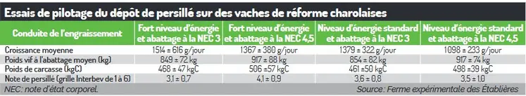 essai finition vaches de réforme note de persillé