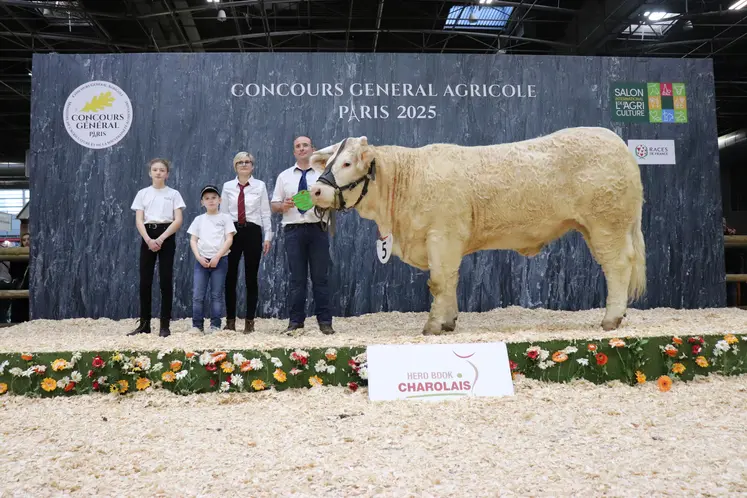 Vache charolaise et ses éleveurs sur le podium du salon de l'agriculture 2025