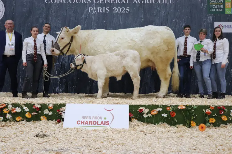 Vache charolaise suitée et ses éleveurs sur le podium du salon de l'agriculture 2025