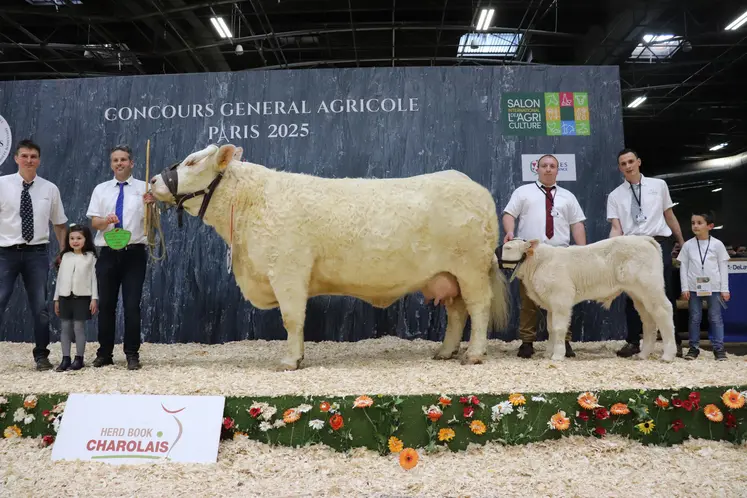 Vache charolaise suitée et ses éleveurs sur le podium du salon de l'agriculture 2025