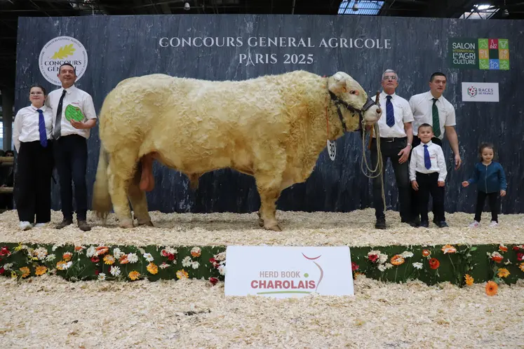 Taureau charolais et ses éleveurs sur le podium du salon de l'agriculture 2025