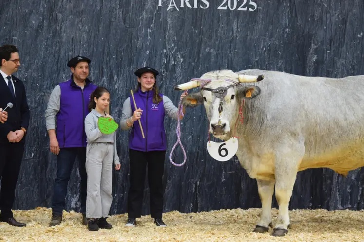 boeuf gascon label rouge et ses éleveurs sur le podium du concours général agricole au salon de l'agriculture 2025, à Paris