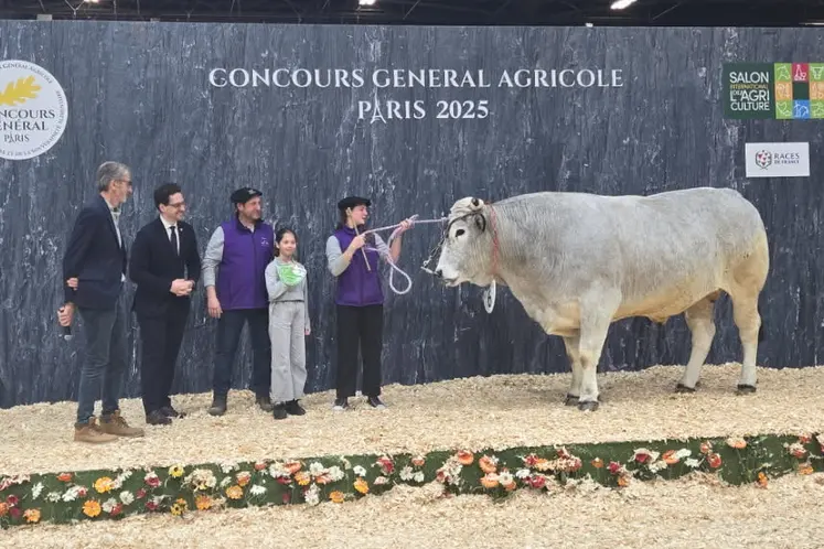 Boeuf gascon et ses éleveurs sur le podium du concours au salon de l'agriculture 2025 à Paris