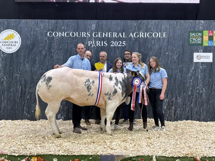 Concours général agricole 2025 race blanc bleu