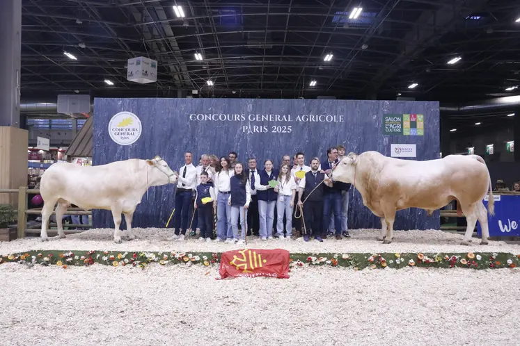 concours général agricole 2025 blonde d'aquitaine
