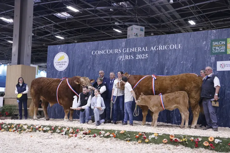 Concours général agricole 2025 race limousine