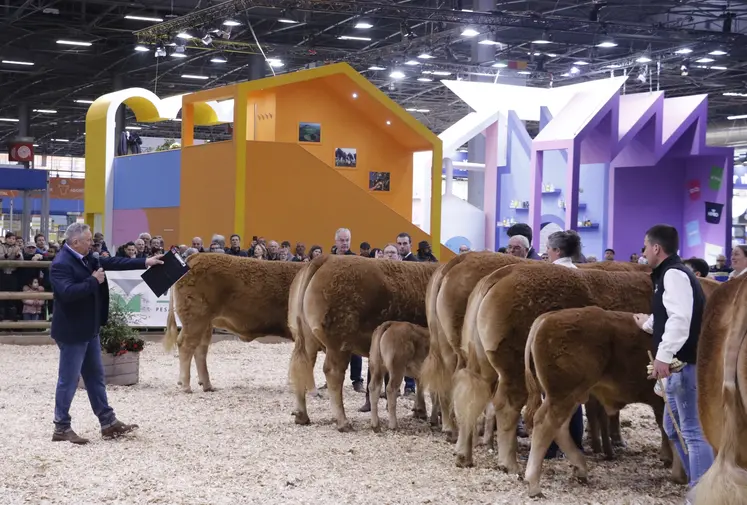 Concours général agricole 2025 race limousine