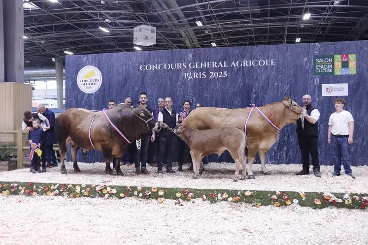 Concours général agricole 2025 race parthenaise