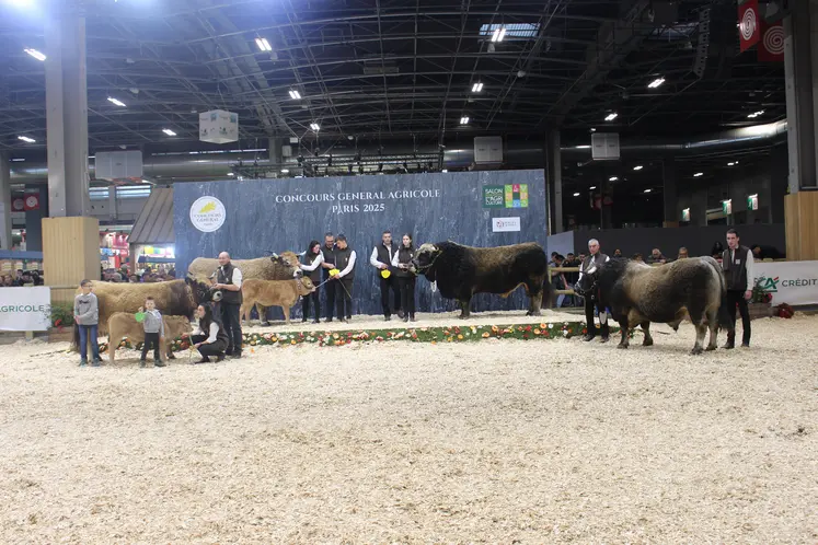 concours général agricole salon de l'agriculture race aubrac