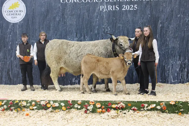 concours général agricole salon de l'agriculture race aubrac