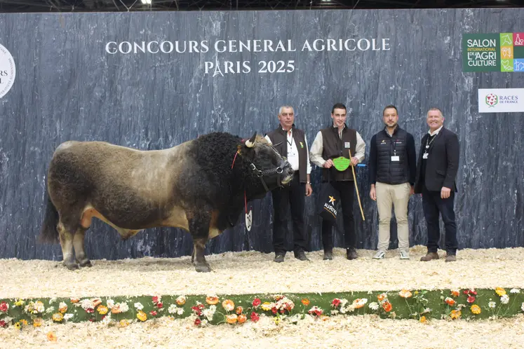concours général agricole salon de l'agriculture race aubrac
