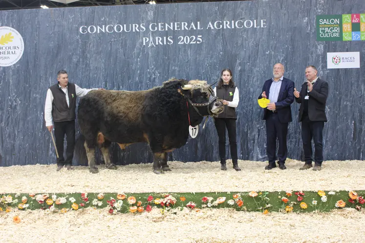 concours général agricole salon de l'agriculture race aubrac