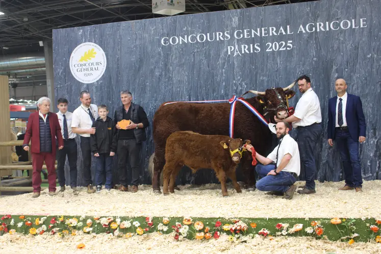 concours général agricole Salers salon de l'agriculture