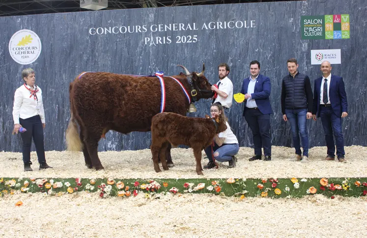 concours général agricole Salers salon de l'agriculture