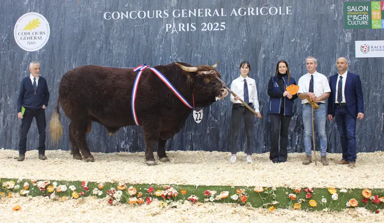 concours général agricole Salers salon de l'agriculture