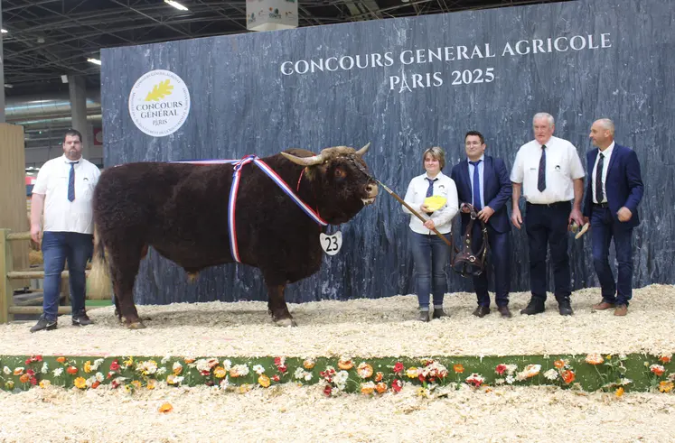 concours général agricole salon de l'agriculture salers