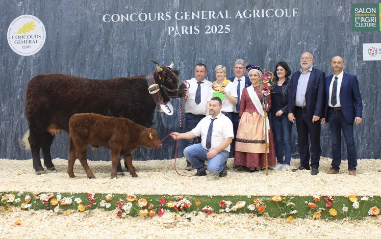 concours générale agricole salon de l'agriculture salers
