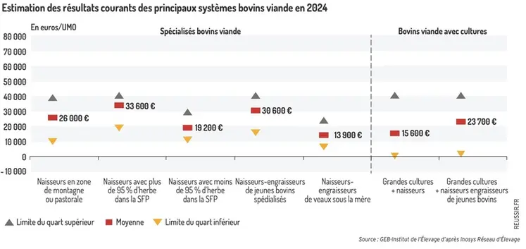 <em class="placeholder">Graphique - Estimation des résultats courants des principaux systèmes bovins viande en 2024 </em>