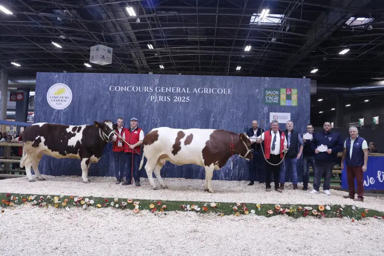 Concours général agricole 2025 race rouge des prés