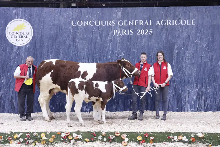Concours général agricole 2025 race rouge des prés