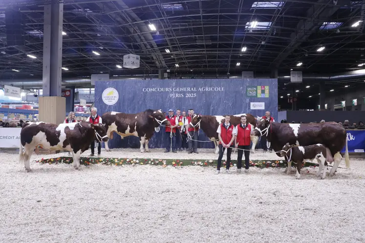 Concours général agricole 2025 race rouge des prés