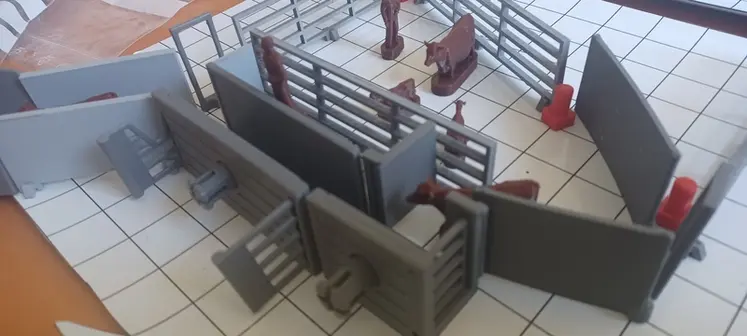 <em class="placeholder">contention bovins maquette 3D</em>