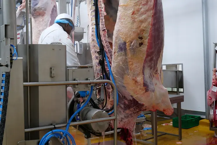 <em class="placeholder">Abattoir de la coopérative Groupement des Eleveurs Girondins</em>
