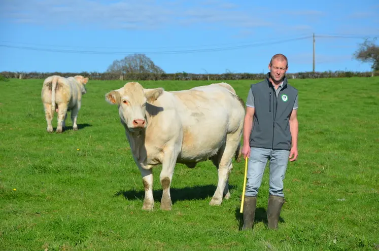 <em class="placeholder">Rémi Louvrier, installé dans le Morvan, avec son troupeau de vaches charolaises</em>
