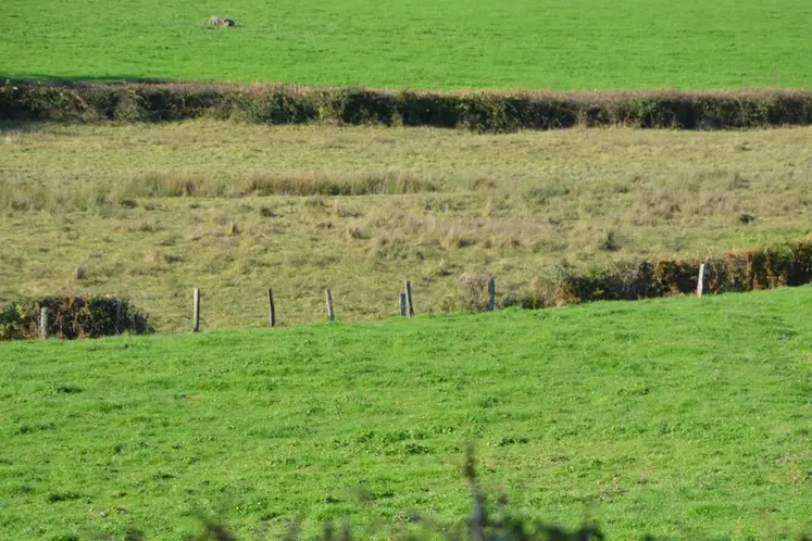 <em class="placeholder">Prairies nichées dans un vallon du Morvan dans la Nièvre</em>