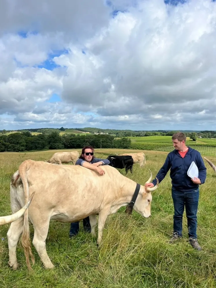 <em class="placeholder">L'évaluation des animaux a été faite par l'animateur de l'Association pour la sauvegarde de la race bovine béarnaise</em>