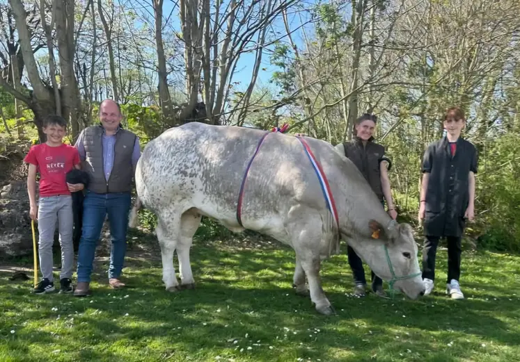 vache championne concours de boucherie 2025 Mamers