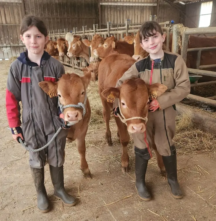 <em class="placeholder">enfants dans une satbulation tenant des veaux limousins</em>