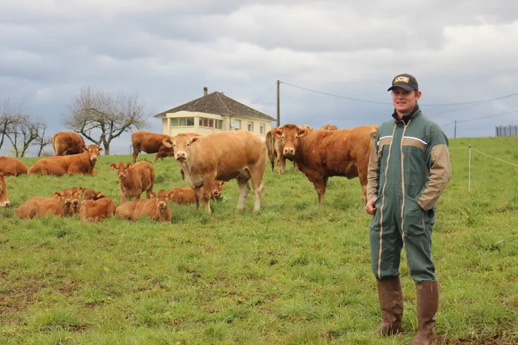 <em class="placeholder">éleveur bovins viande prairies limousines printemps</em>