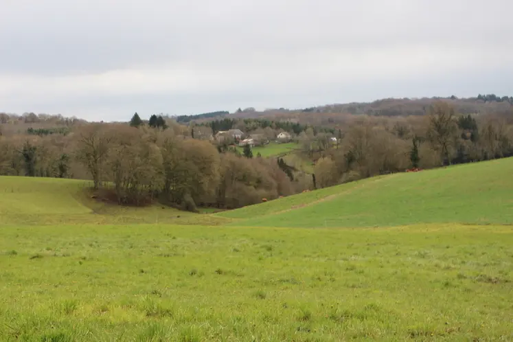 <em class="placeholder">bovins viande prairies Corrèze printemps</em>