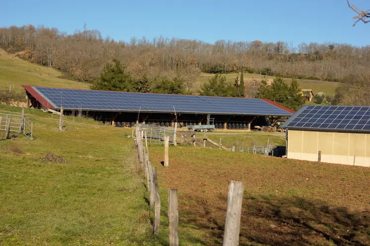 <em class="placeholder">Aude Gaec de Bergnes élevage aubrac</em>