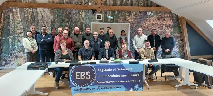 marché de bétail vif vente aux enchères