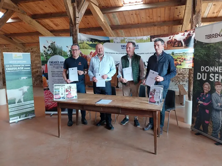 Terrena Elivia La coopérative U filière viande bovine "Charolais U"