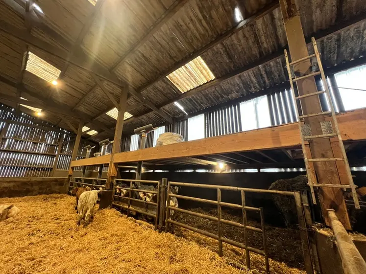 <em class="placeholder">bâtiment vaches allaitantes parc à veau confort thermique</em>